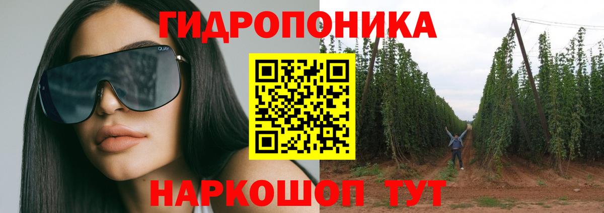 Марихуана гибрид Донской